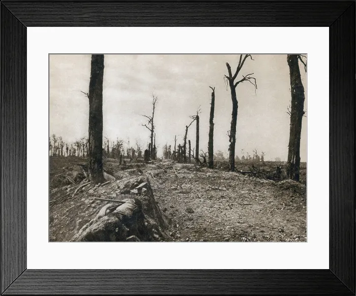 Framed Print : WWI, Ruins of Somme, 1916