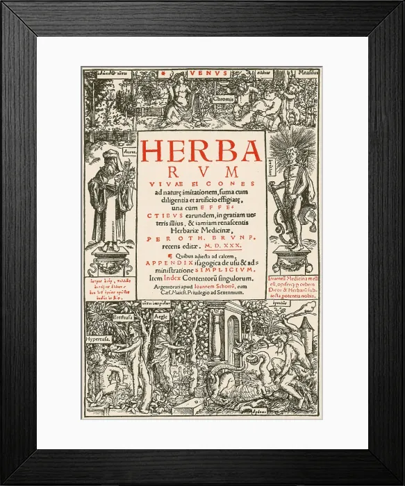 Framed Print : Herbarum Vivae Eicones, Title Page, 16th Century Framed Print : Herbarum Vivae Eicones, Title Page, 16th Century
