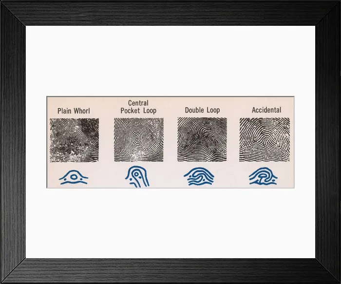 Framed Print : Fingerprint Patterns