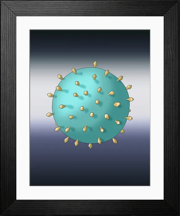 Framed Print : Virus Shape, Complex, Illustration Framed Print : Virus Shape, Complex, Illustration