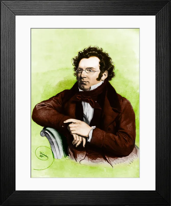 Framed Print : Franz Peter Schubert, Austrian Composer Framed Print : Franz Peter Schubert, Austrian Composer