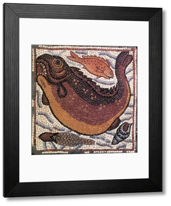 Framed Print : Marine Fauna, Byzantine Mosaic, 6th Century Framed Print : Marine Fauna, Byzantine Mosaic, 6th Century