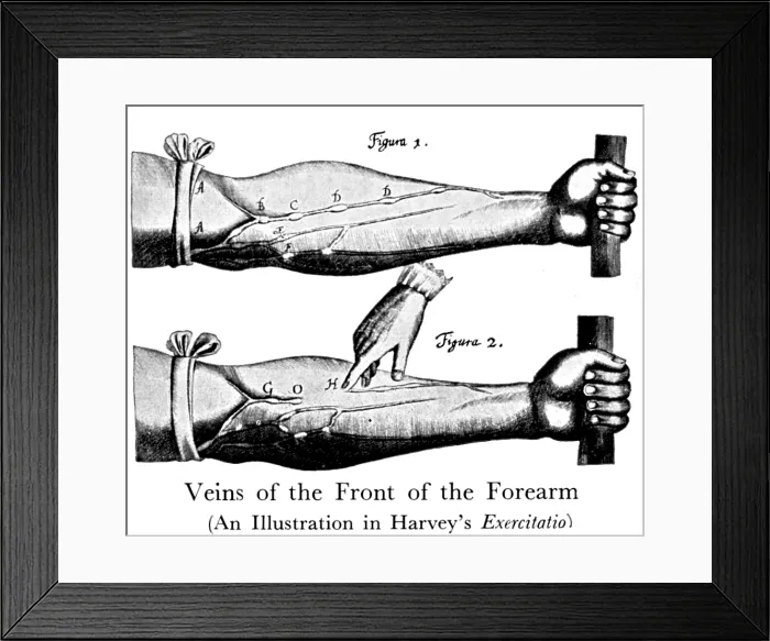 Framed Print : William Harvey, De Motu Cordis, 1628 Framed Print : William Harvey, De Motu Cordis, 1628