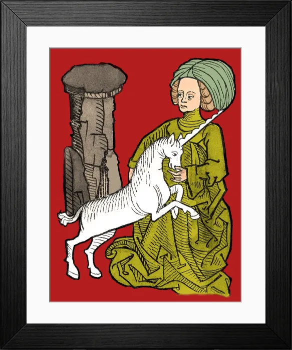 Framed Print : Unicorn, Legendary Creature Framed Print : Unicorn, Legendary Creature