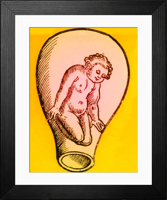 Framed Print : Preformationism, 18th Century Framed Print : Preformationism, 18th Century