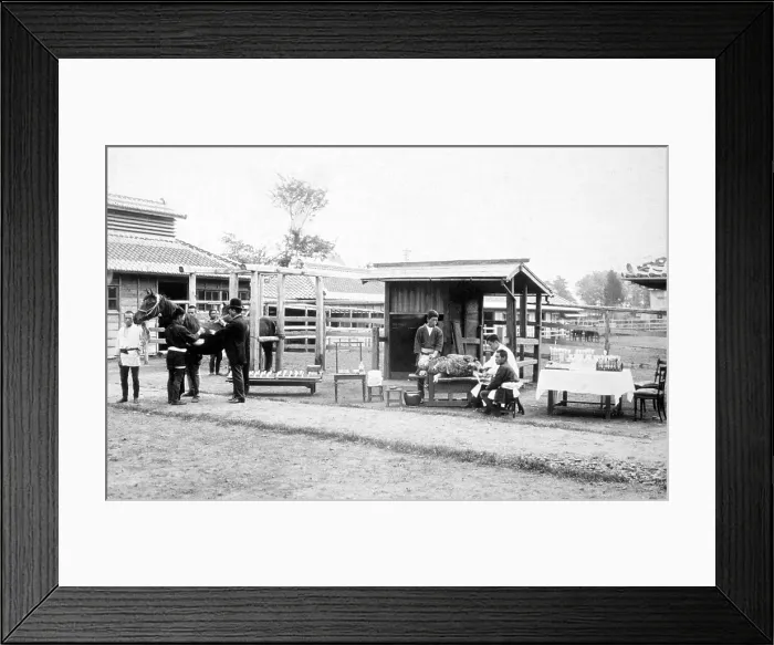 Framed Print : Shibasaburo Kitasato, Japanese Bacteriologist Framed Print : Shibasaburo Kitasato, Japanese Bacteriologist