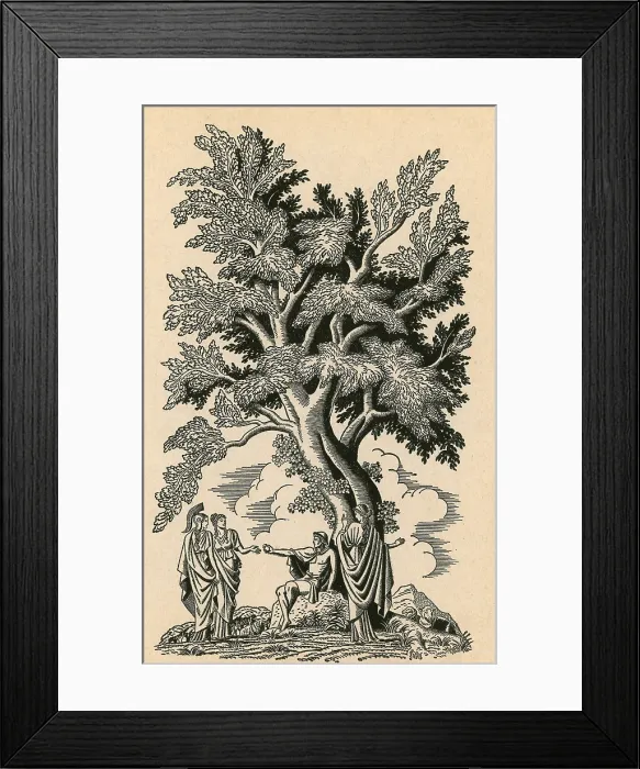 Framed Print : Judgement Of Paris Framed Print : Judgement Of Paris