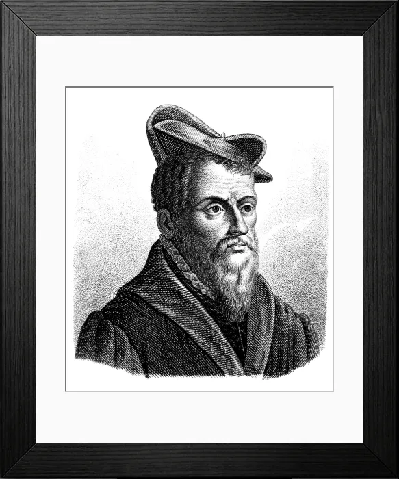 Framed Print : Pierre Belon, French Naturalist and Comparative Anatomist Framed Print : Pierre Belon, French Naturalist and Comparative Anatomist