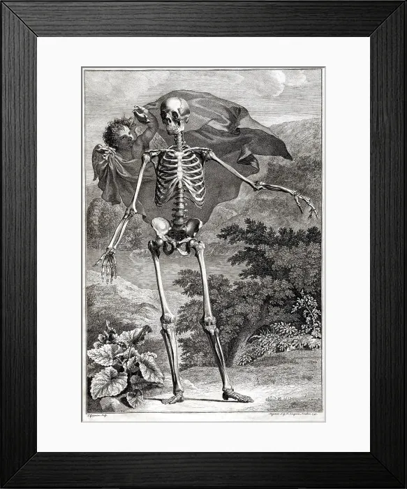 Framed Print : 18th Century Anatomical Engraving Framed Print : 18th Century Anatomical Engraving