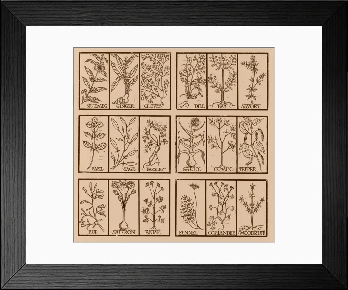 Framed Print : Edible herbs Framed Print : Edible herbs