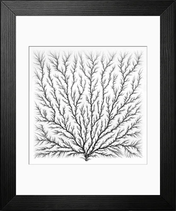 Framed Print : Electron Tree, Lichtenberg Figure, Fractals
