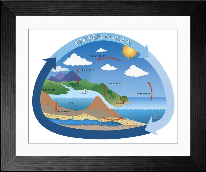 Framed Print : Earth's Water Cycle, hydrologic cycle, rain, evaporation, condensation, ecology illustration Framed Print : Earth's Water Cycle, hydrologic cycle, rain, evaporation, condensation, ecology illustration