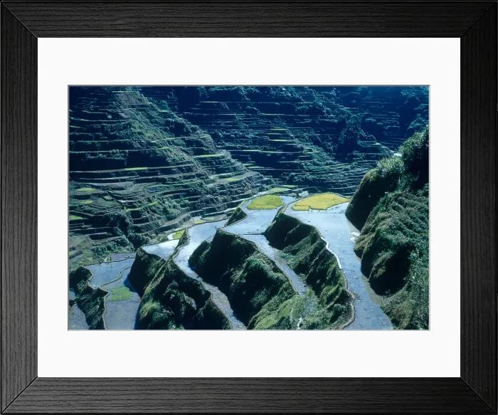 Framed Print : Rice Terraces