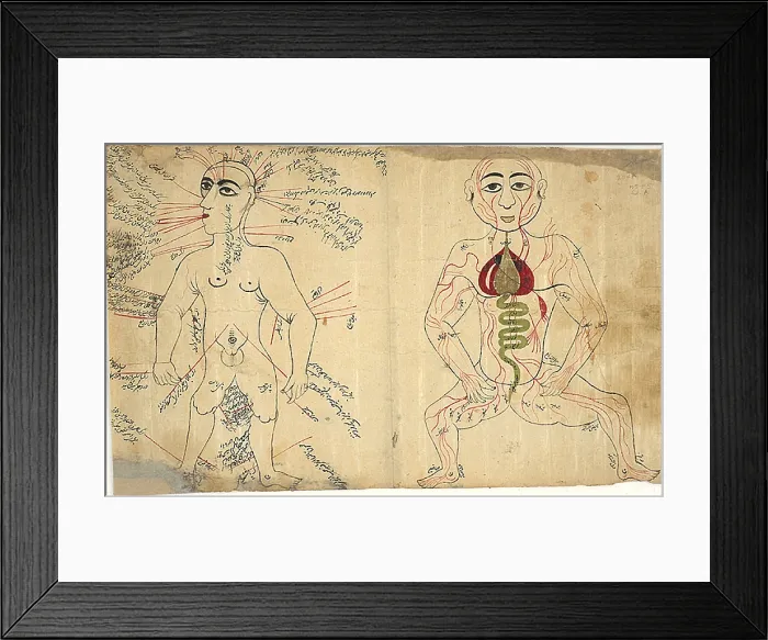 Framed Print : Islamic Anatomical Drawings, 17th Century