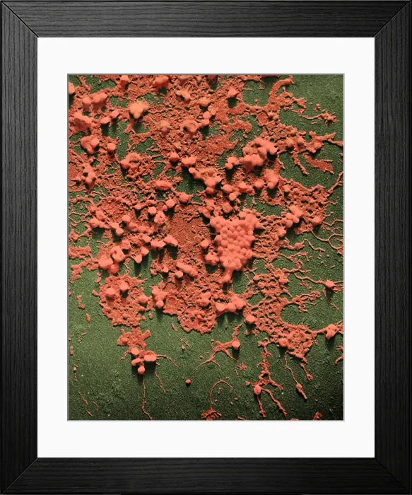 Framed Print : Influenza B Framed Print : Influenza B