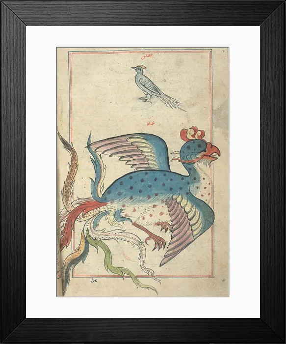 Framed Print : Persian Mythical Bird, Simurgh, 17th Century Framed Print : Persian Mythical Bird, Simurgh, 17th Century