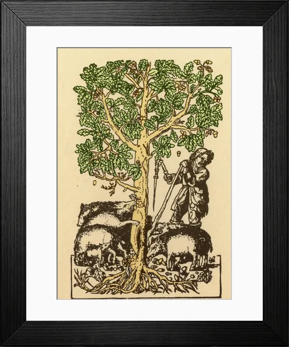 Framed Print : 'The Best Ham Grows On Oaks' Framed Print : 'The Best Ham Grows On Oaks'