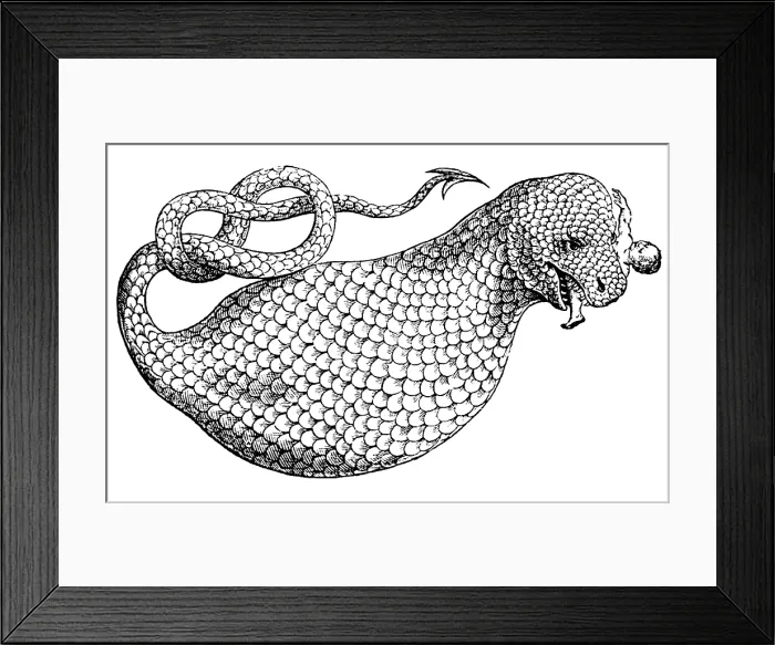 Framed Print : Gessner, Boas, Legendary Creature Framed Print : Gessner, Boas, Legendary Creature