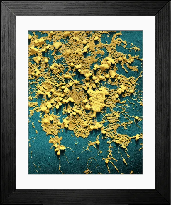 Framed Print : Influenza B Framed Print : Influenza B