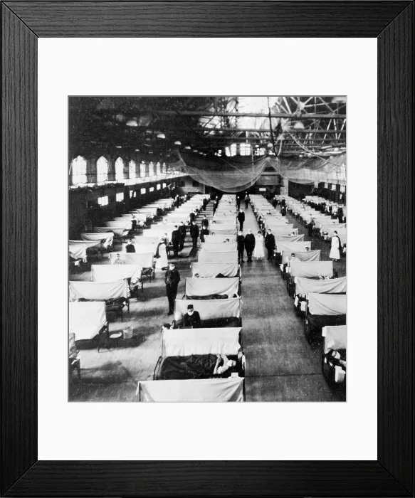 Framed Print : Influenza Epidemic Framed Print : Influenza Epidemic