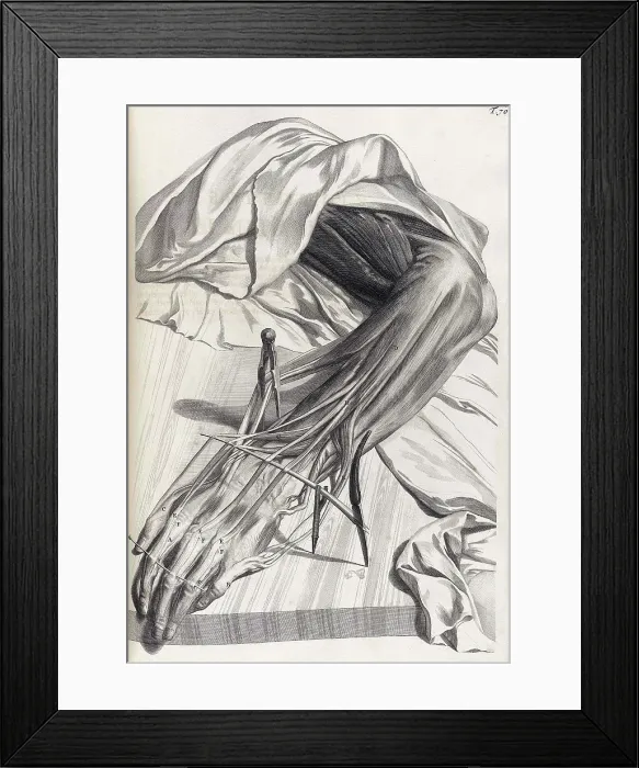 Framed Print : Anatomia humani corporis, Table 70, 1690