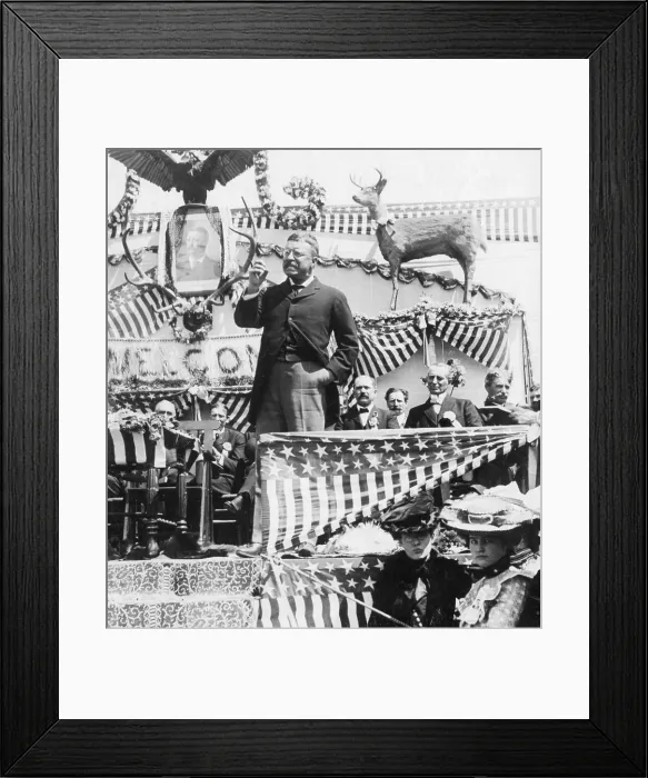 Framed Print : Theodore Roosevelt, 26th U.S. President Framed Print : Theodore Roosevelt, 26th U.S. President