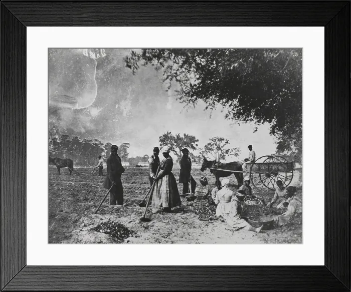 Framed Print : Farm Workers Framed Print : Farm Workers