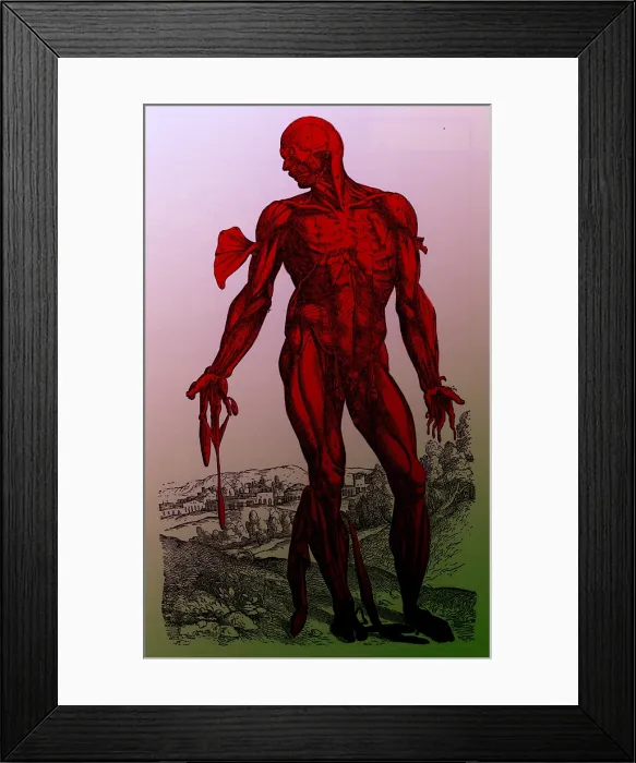 Framed Print : Vesalius De humani Corporis Fabrica