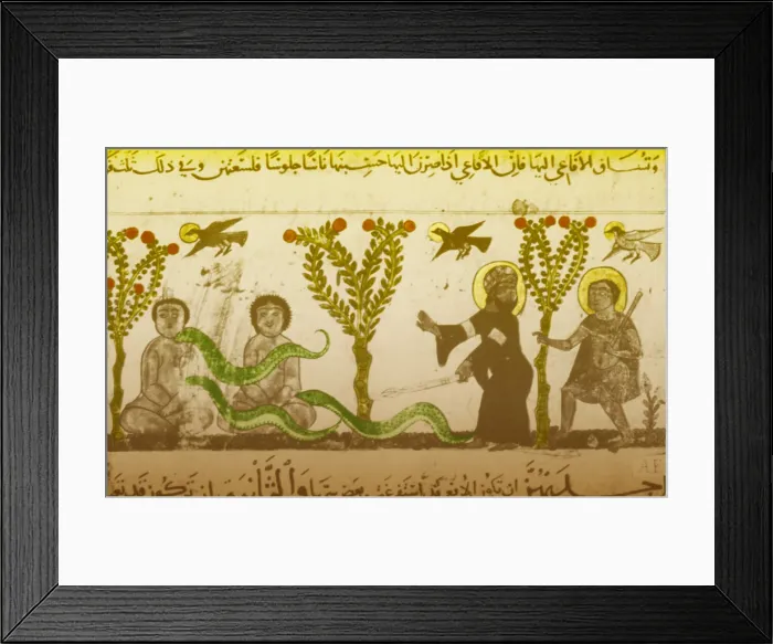 Framed Print : Illustration showing physician aiding a man bitten by serpents Framed Print : Illustration showing physician aiding a man bitten by serpents