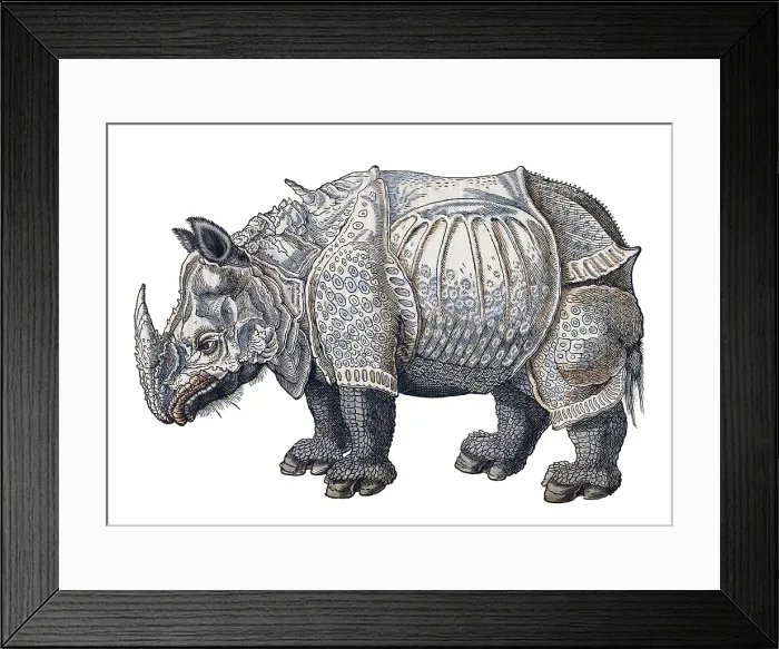 Framed Print : Durer, Rhinoceros, 16th Century Framed Print : Durer, Rhinoceros, 16th Century