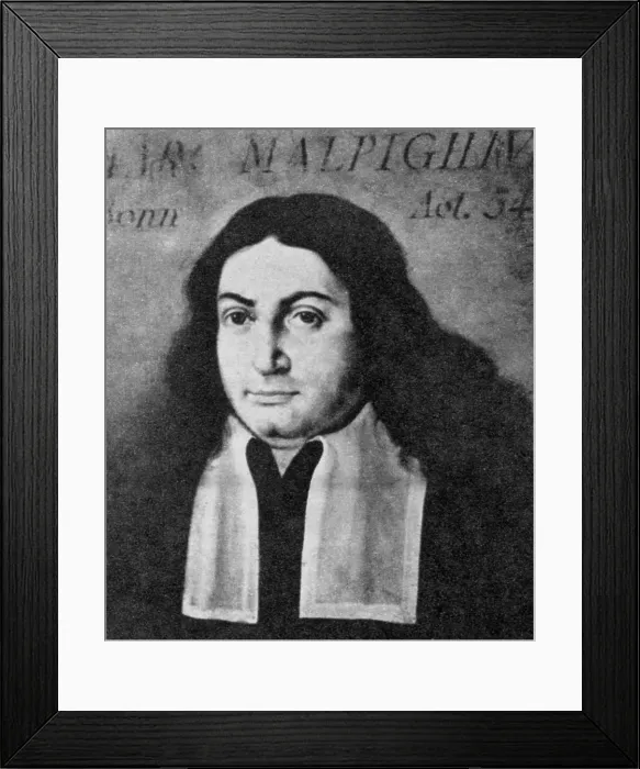Framed Print : Marcello Malpighi, Italian Biologist and Inventor Framed Print : Marcello Malpighi, Italian Biologist and Inventor