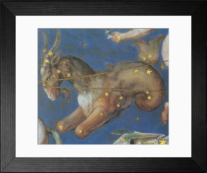 Framed Print : Capricornus Constellation, Zodiac Sign, 1575