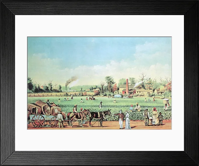 Framed Print : Cotton Plantation on the Mississippi, 19th Century