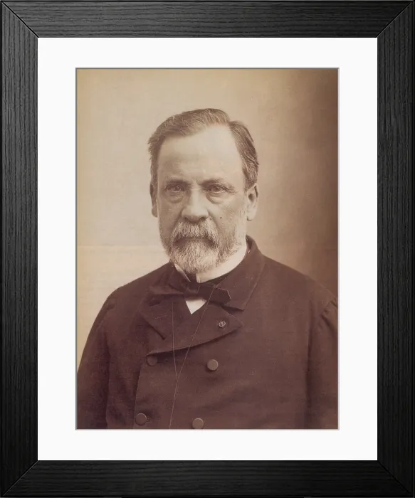 Framed Print : Louis Pasteur, French Microbiologist Framed Print : Louis Pasteur, French Microbiologist