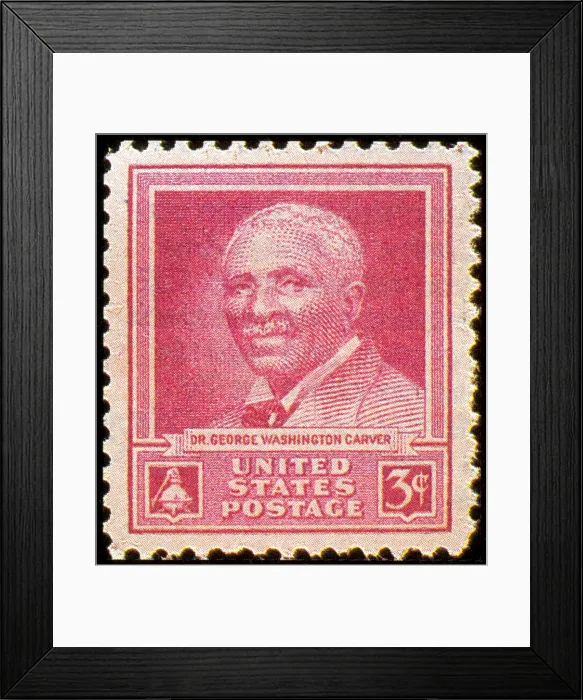 Framed Print : George W. Carver, U.S. Postage Stamp, 1948 Framed Print : George W. Carver, U.S. Postage Stamp, 1948