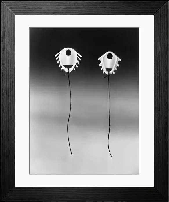 Framed Print : Dalkon Shields Framed Print : Dalkon Shields