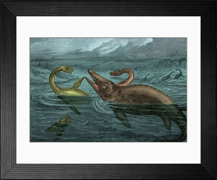 Framed Print : Dinosaur-Like Reptiles Swimming, Illustration Framed Print : Dinosaur-Like Reptiles Swimming, Illustration