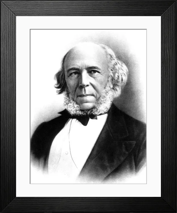 Framed Print : Herbert Spencer, English Polymath Framed Print : Herbert Spencer, English Polymath