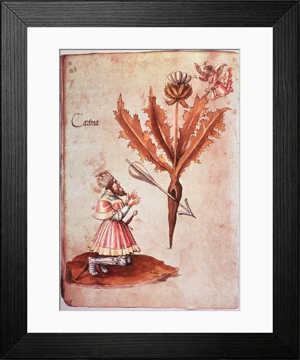 Framed Print : Angel Reveals Plague Remedy to Emperor Charlemagne Framed Print : Angel Reveals Plague Remedy to Emperor Charlemagne