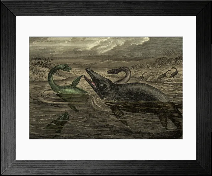 Framed Print : Dinosaur-Like Reptiles Swimming, Illustration Framed Print : Dinosaur-Like Reptiles Swimming, Illustration