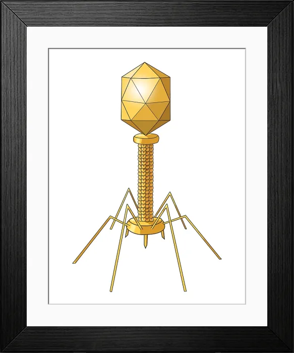 Framed Print : Virus Shape, Complex, Illustration Framed Print : Virus Shape, Complex, Illustration
