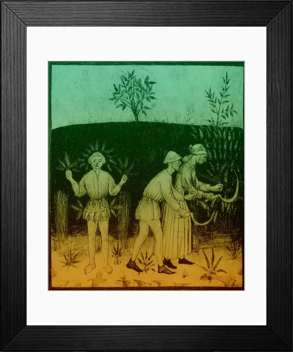 Framed Print : Agriculture-1400s Framed Print : Agriculture-1400s