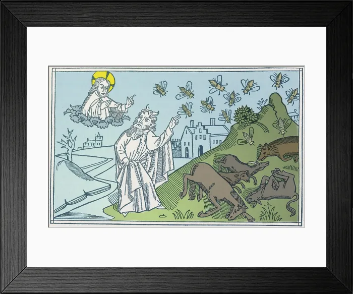 Framed Print : 5th Plague of Egypt, Diseased Livestock Framed Print : 5th Plague of Egypt, Diseased Livestock