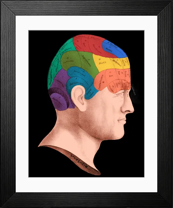 Framed Print : Phrenology