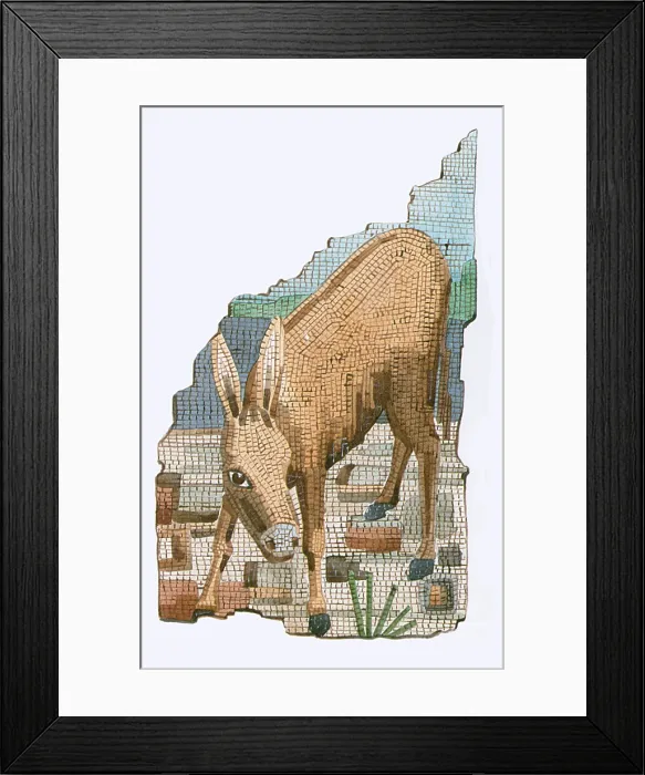 Framed Print : The Golden Ass Framed Print : The Golden Ass