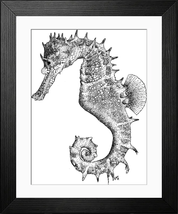 Framed Print : Thorny Seahorse Framed Print : Thorny Seahorse