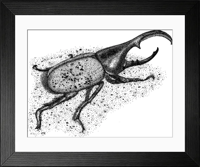 Framed Print : Hercules Beetle