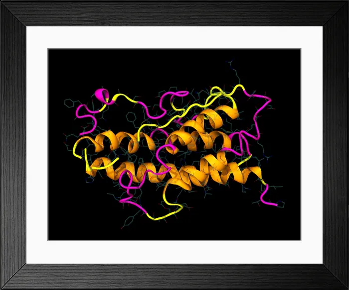 Framed Print : Model of Human Growth Hormone Framed Print : Model of Human Growth Hormone