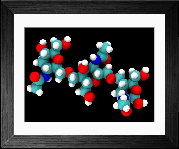 Framed Print : Chitin Molecular Model Framed Print : Chitin Molecular Model
