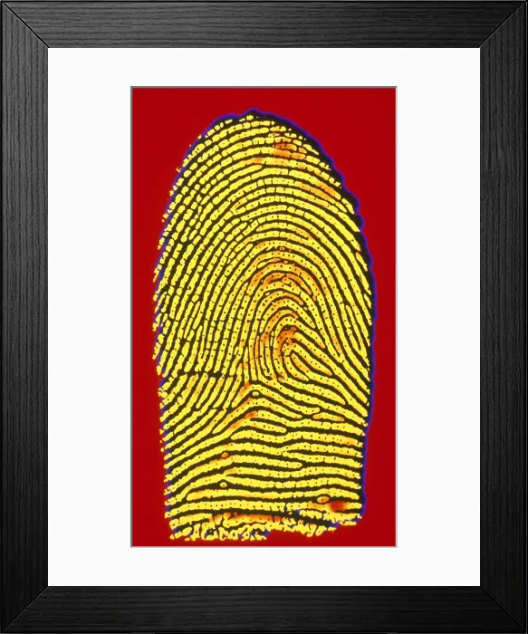 Framed Print : Human Fingerprint Framed Print : Human Fingerprint